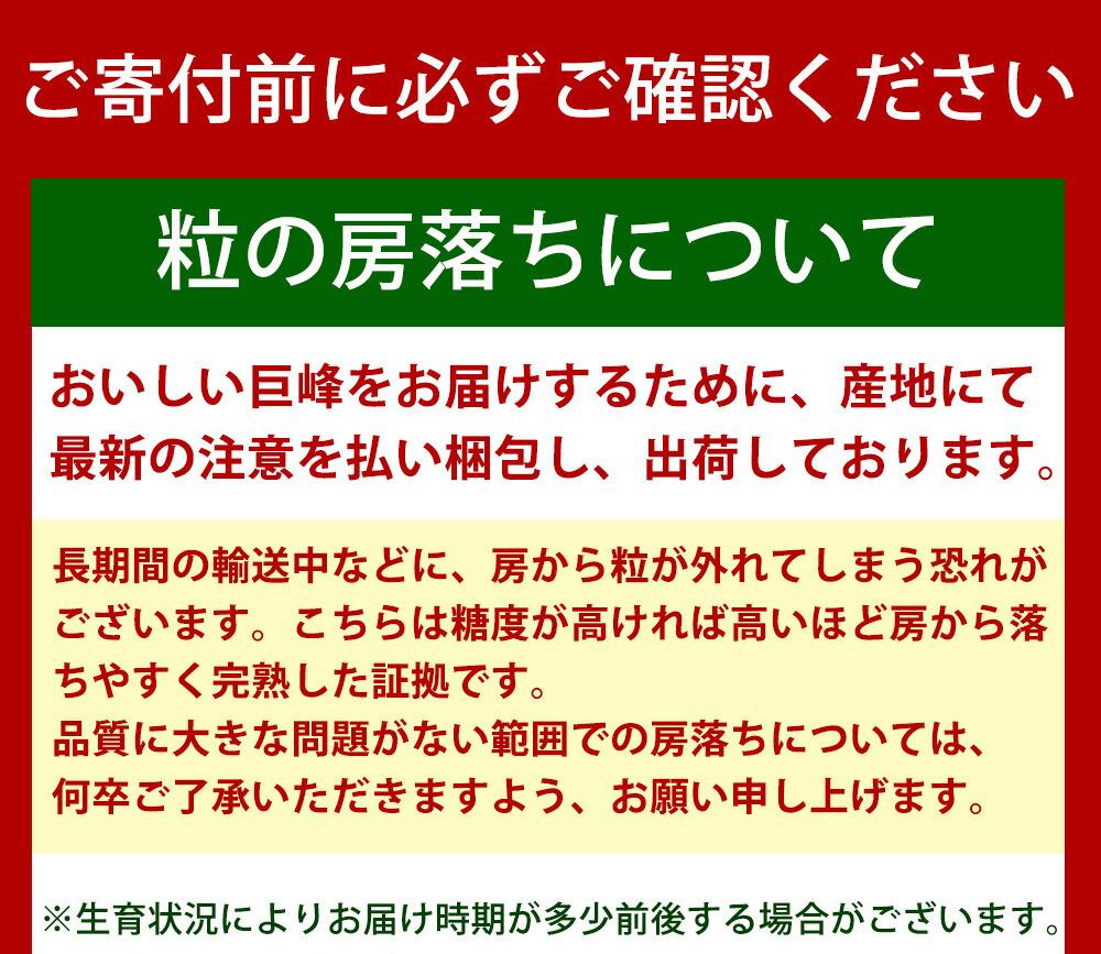 巨峰ぶどう約2kg　紀州和歌山産【2025年8月下旬以降発送予定】【UT88】
