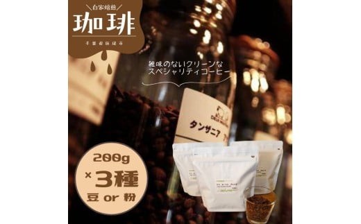 
                  ドゥ　ムートン　ブレンド 200g　 エチオピア イルガチェフ W 200g　ケニアAA 200g（豆・粉） ／ 珈琲 コーヒー 珈琲豆 コーヒー豆 スペシャルティコーヒー エチオピアイルガチェフW ケニアAA 豆 粉
                