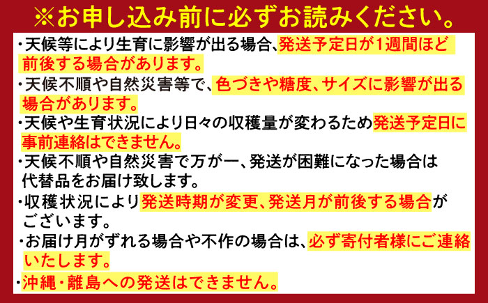 【全12回定期便】佐賀県の生産者を応援！佐賀の旬フルーツ食べ尽くし定期便 / 梨 シャインマスカット 桃 みかん フルーツ / 佐賀県ふるさと納税 [41AAZZ013]