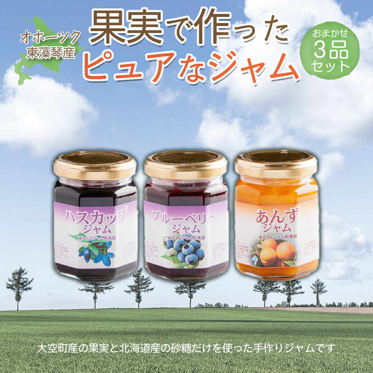 【ふるさと納税】 オホーツク東藻琴産の果実で作ったピュアなジャム3品セット 【 ふるさと納税 人気 おすすめ ランキング ジャム ハスカップ ヨーグルト パン ケーキ 料理 ソース 加工品 北海道 大空町 送料無料 】 OSK002