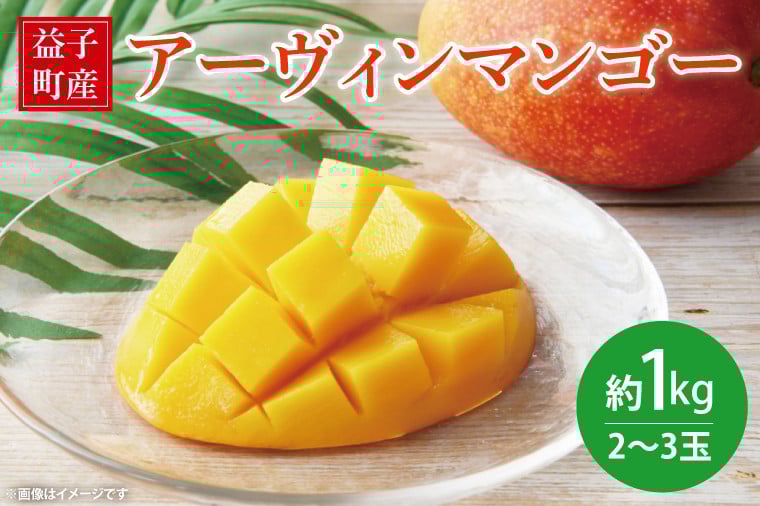 
            【先行予約】【数量限定】益恋 マンゴー 約1kg（2～3玉）| 7月中旬より順次発送 マンゴー フルーツ 果物 新鮮 旬 益子町産 (CA005)
          