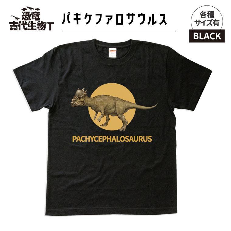 【ふるさと納税】恐竜・古代生物Tシャツ　パキケファロサウルス 036