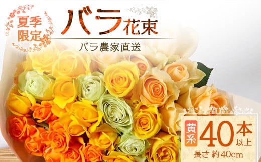 【先行予約・夏季限定 薔薇】ばら農家直送！バラ花束40本以上お届け(黄系) 【ギフト対応可】TB-7│ローズ 新鮮 花 フラワー 花束 ばら 薔薇 バラ 誕生日 記念日 結婚祝い ギフト プレゼント 