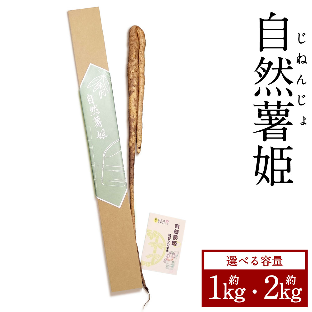 【ふるさと納税】自然薯姫 約1kg 約2kg 山芋 自然薯 じねんじょ やまいも ヤマイモ 野菜 無農薬 芋 九州 常温 国産 大分 大分県産 大分県 竹田市 送料無料 【発送不可期間:毎年4月下旬～11月上旬】