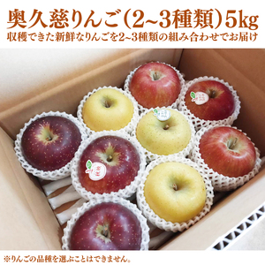 【先行予約】【10月中旬頃発送予定】【しいなりんご園】旬のおいしい奥久慈りんご食べ比べセット 約5kg【先行予約・数量限定】｜茨城県 大子町 林檎 詰合せ 旬 果物 フルーツ ギフト 贈答(CI002