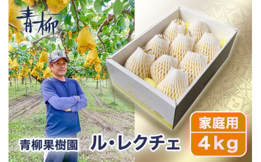 【2025年先行予約】新潟特産 幻の洋梨ル・レクチェ 家庭用 4kg（9〜11玉）〈11月下旬～順次出荷〉 ルレクチェ ル・レクチエ ルレクチエ 西洋梨 果物 フルーツ 冬の味覚 産地直送加茂市 青柳果樹園