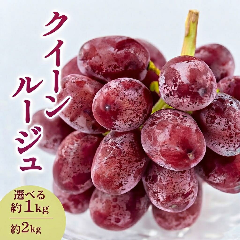 【ふるさと納税】2026年産 【農家からもぎたて直送】クイーンルージュ 選べる 約1kg 2kg 駒ケ根市 フルーツ お取り寄せ ぶどう ブドウ　お届け：2026年9月中旬～11月上旬