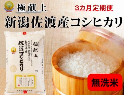 【新米・先行予約】無洗米5kg 新潟県佐渡産コシヒカリ5kg×3回「3カ月定期便」