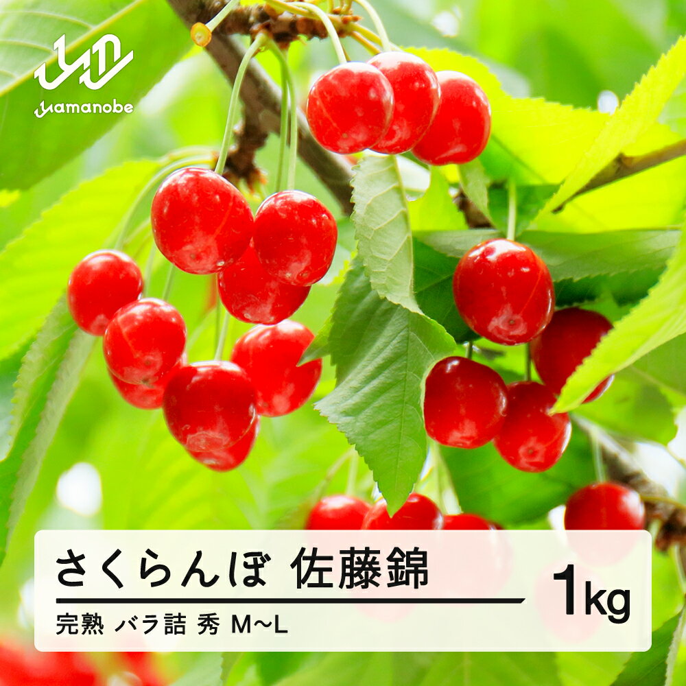【ふるさと納税】《先行予約》2026年 山形県産 さくらんぼ 佐藤錦 朝採り 完熟バラ詰め 1kg 秀 M〜L サクランボ フルーツ 果物 送料無料 F20A-015 ※沖縄・離島への配送不可