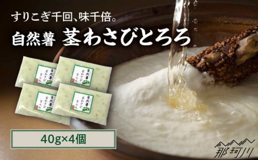自然薯茎わさびとろろ 40g×4個＜自然薯王国＞那珂川市 [GAH021]