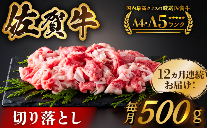＜全12回定期便＞佐賀牛切り落とし 500g【がばいフーズ】佐賀牛 A5 しゃぶしゃぶ すき焼き 牛丼 [HCS031]