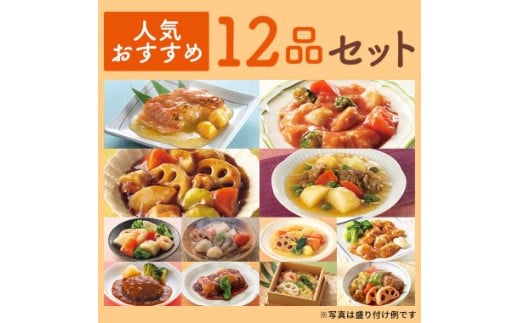 「 あいーと 」人気 おすすめ 12品 セット やわらか レトルト 食品 介護食 イーエヌ大塚製薬 岩手県 北上市 F0130