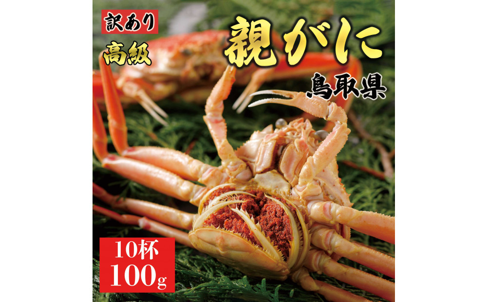 1073.【2025年12月発送】鳥取県産 特撰 親がに 姿【セコガニ】（茹）【訳あり】100g 10杯
