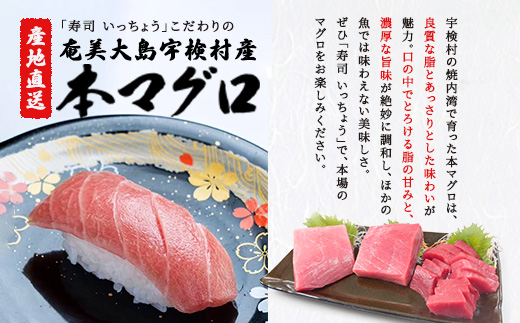 奄美大島 寿司いっちょう お食事券（9,000円分）