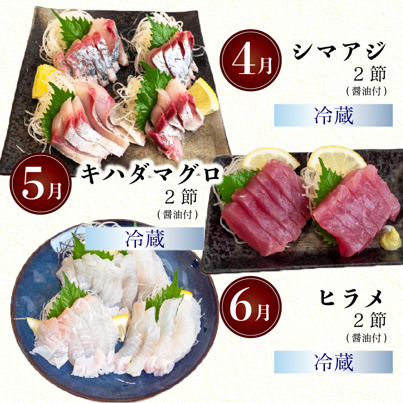 12ヶ月 定期便 旬 魚 刺身定期便 鮮魚