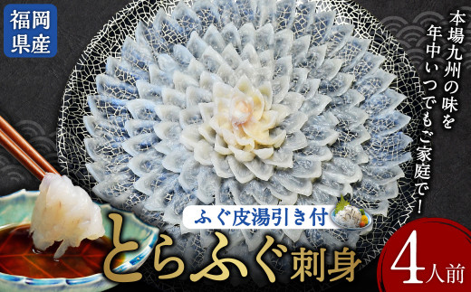 とらふぐ刺身 菊盛り 一尺 大皿 30cm ふぐ皮湯引き付 4人前 トラフグ フグ刺身 てっさ 冷凍 岡垣町