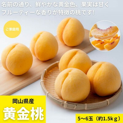 【ふるさと納税】【2027年発送】ご家庭用　岡山県産黄金桃　約1.5kg(5～6玉)【配送不可地域：離島】【1614333】
