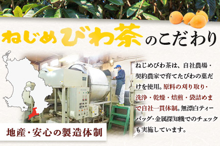 【訳あり】鹿児島県産 ねじめびわ茶 スティックゼリー+plus（10g×100本入） TO-6 | 国産 食物繊維 コラーゲン 乳酸菌 ゼリー スティックゼリー おやつ びわの葉 産地直送 鹿児島県 
