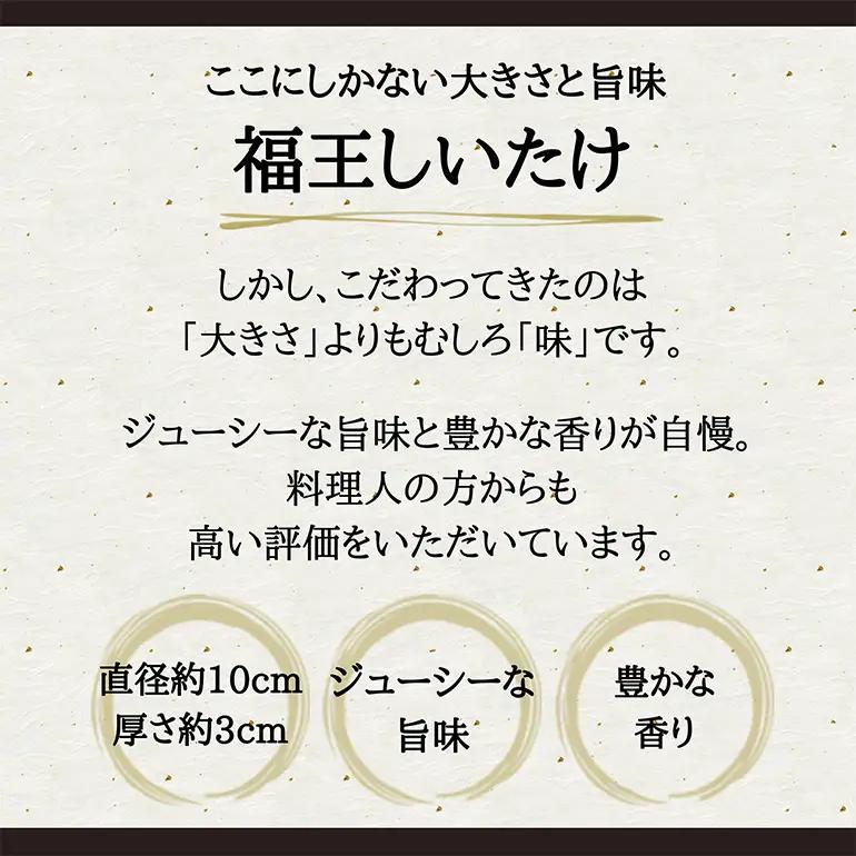 【先行販売/2026年10月末以降発送】 福王しいたけ 特大サイズ 約1.4kg IA-008