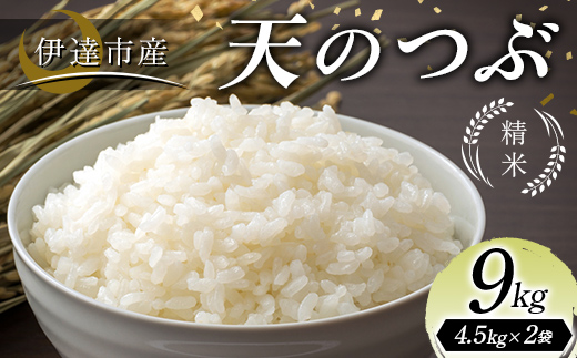 
            令和7年産米 伊達市産 天のつぶ 精米 9kg 訳あり ご飯 ごはん ライス 伊達市 F21C-388
          