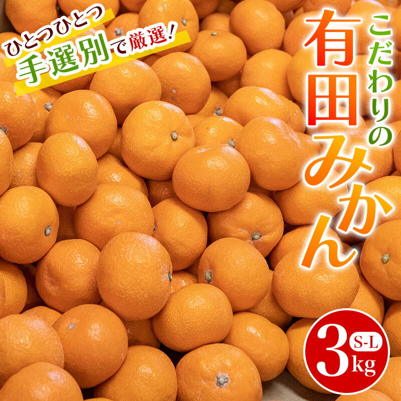 【ふるさと納税】 こだわりの和歌山県産 有田みかん 3kg（S〜Lサイズ） ひとつひとつ手選別で厳選！生産者から直送 【2025年11月下旬～1月中旬ごろに順次発送予定】 | みかん フルーツ 果物 くだもの 有田みかん 蜜柑 柑橘【hdm004A】