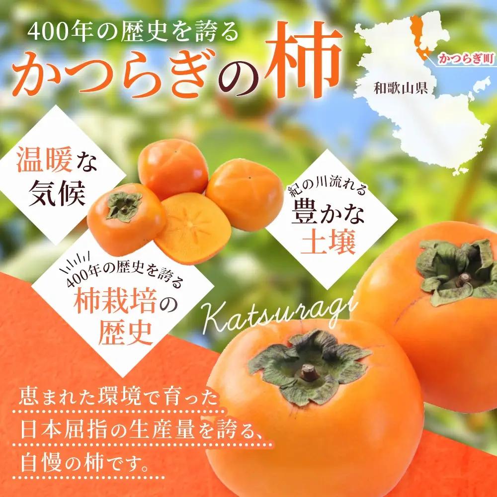 【先行予約】【限定】 富有柿 2kg～2.5kg 6個入 至高の逸品 約1000個に１個！【2025年10月末頃から11月末頃順次発送】 【BK005-kgr013】