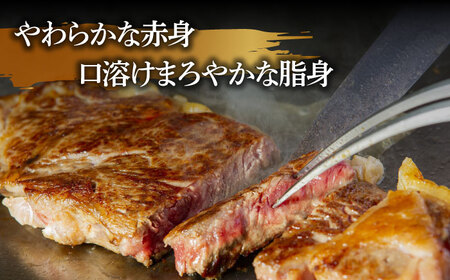 【12回定期便】長崎和牛 サーロインステーキ 2人前（200g×2枚）/ 牛肉 ステーキ 長崎産 サーロイン / 南島原市 / ふるさと企画[SBA034]