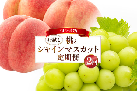 フルーツ 定期便 2回 山梨 旬な果物 お試しセット 桃 1.1kg(3〜5玉) シャインマスカット 600g(1房) [斎庵 山梨県 韮崎市 20745282]
