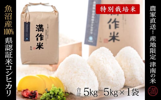 米 5kg 令和7年産 新米 魚沼産 コシヒカリ 県認証米 特別栽培米 農家直送 | BLコシヒカリ お米 おこめ こめ コメ 白米 精米 ブランド米 小分け おすすめ 人気 新潟県 津南町