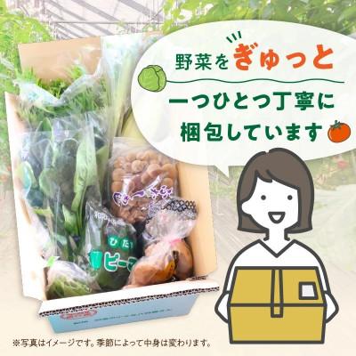 ふるさと納税 御坊市 【発送月固定定期便】旬の新鮮野菜セット8種以上【野菜詰め合わせ】全12回 |  | 02
