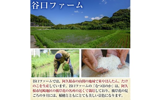 鹿児島県産のお米 なつほのか(計15kg・5kg×3袋) 国産 白米 自社精米 ご飯 おこめ おにぎり お弁当 【谷口ファーム】akn064-21
