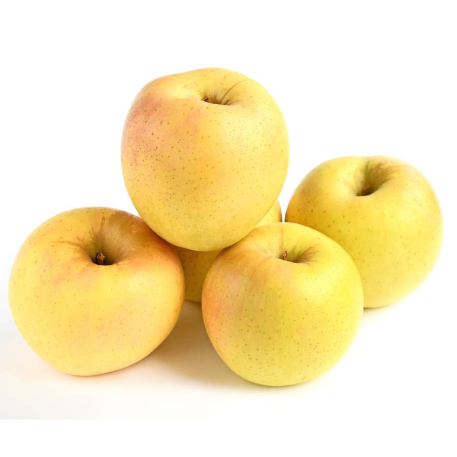 ＜中山果樹園＞舘山りんご（あまみつき・秀品）2.5ｋｇ（8玉～10玉）