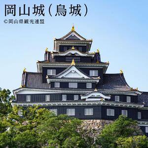 【岡山市】JTBふるさと旅行券（450,000円分）有効期間5年 | 予約 宿泊 観光 体験 温泉 ホテル 旅館 チケット 子供 子連れ カップル 家族 店頭 電話 岡山