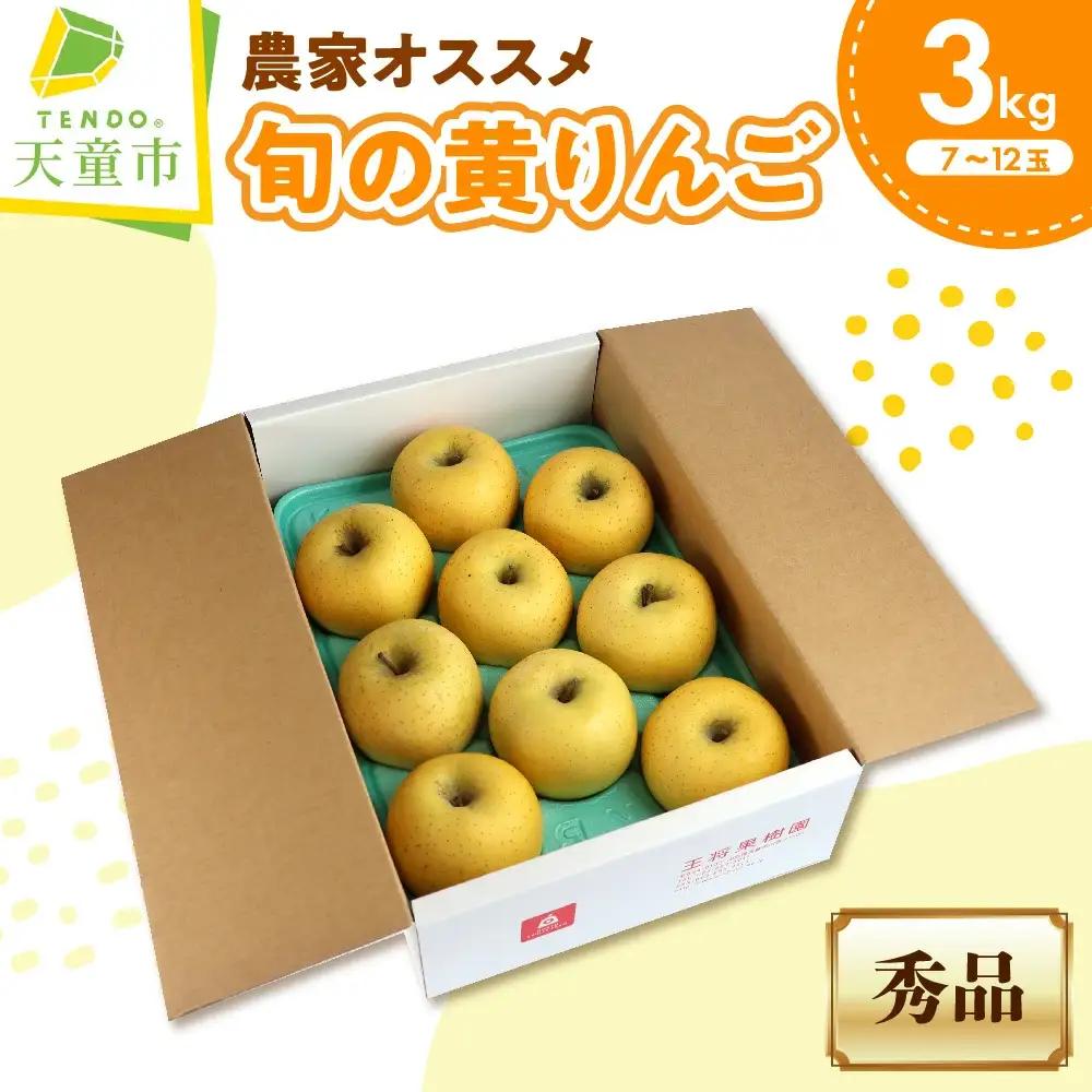 農家 オススメ 旬の黄 りんご 3㎏ 果物 山形 リンゴ