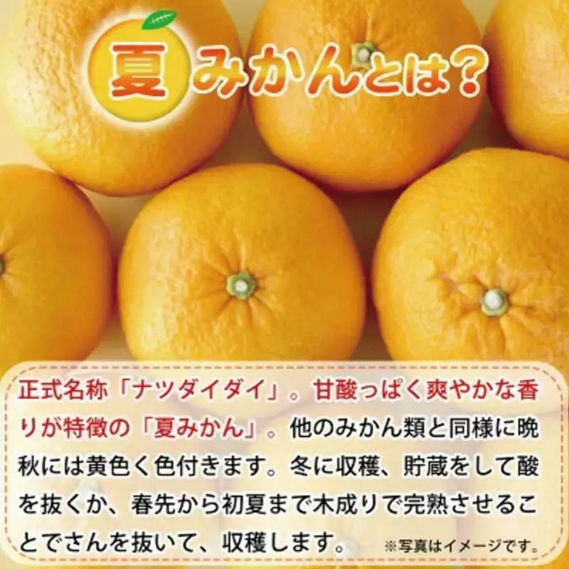 夏みかん 7.2kg　※2027年4月中旬頃～2027年4月下旬頃に順次発送予定（お届け日指定不可）【uot775】