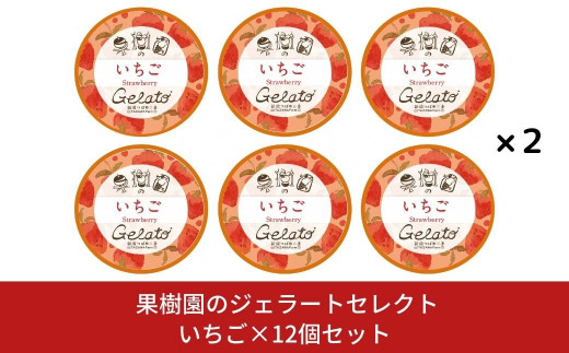 [季節限定]果樹園のジェラートセレクト [いちご12個セット] ストロベリー ジェラート詰合せ アイス詰合せ [田沢農園] 【019S044】