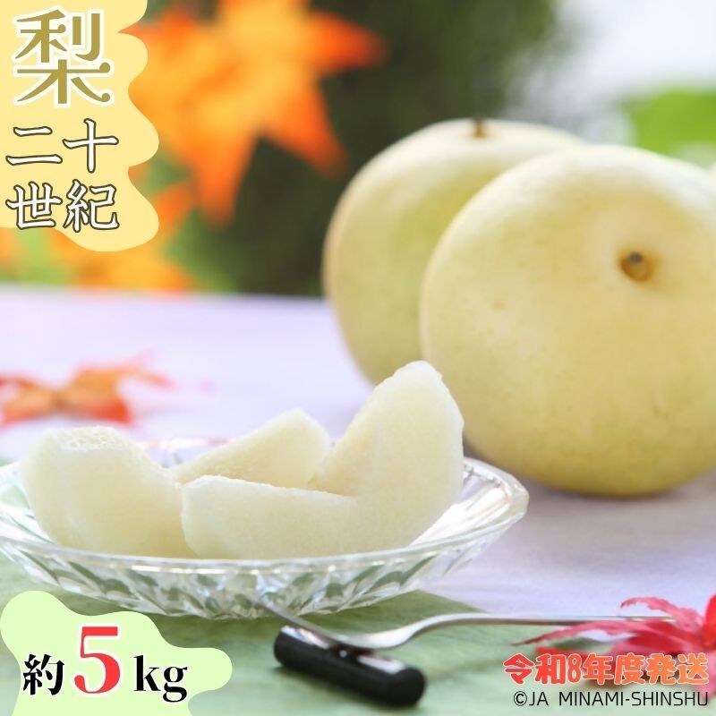 【ふるさと納税】【令和8年度発送先行予約品】8-J34 【南信州産】20世紀梨 太鼓判 約5kg 10玉～16玉 なし 梨 和梨 二十世紀 20世紀 南信州 みなみ信州 たかぎ