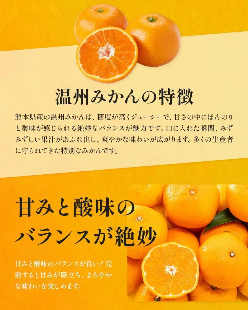 2ヶ月定期便 2種の柑橘 計6㎏ 日本フルーツ株式会社