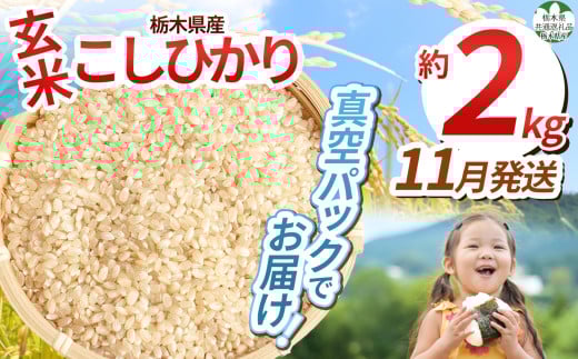 【先行予約】【令和7年度新米】【毎月500個限定！】 【栃木県共通返礼品】栃木県産こしひかり 2kg（玄米真空パック）11月分 | 新米 こしひかり 玄米 米 ごはん  冷めてもおいしい ふるさと納税 那珂川町 栃木県