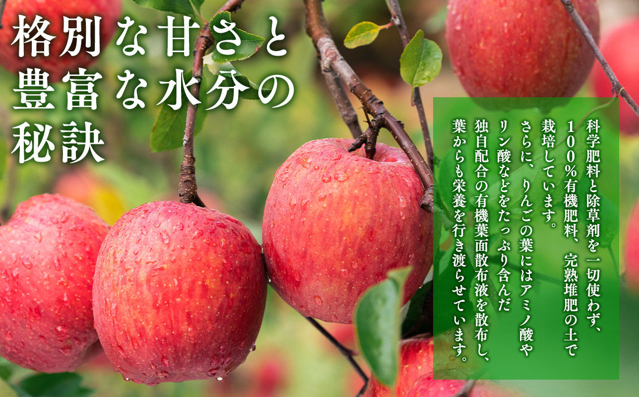 【1月発送】 親子三代最高位のサンふじ 約3kg【全国ふじコンテスト最高賞受賞農園・平川市広船産りんご】