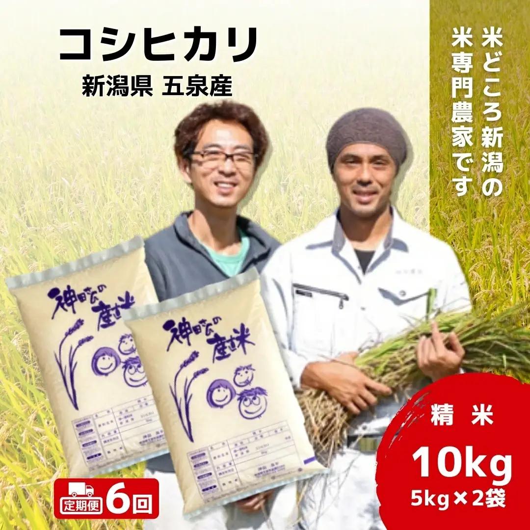 【定期便6回】コシヒカリ 10kg(5kg×2袋)×6回 わくわく農場 こしひかり | 新潟県 五泉市 コシヒカリ