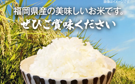 【令和7年産】 福岡県 大木町産 ひのひかり 5kg　BC01-1