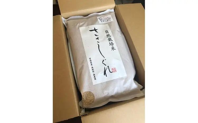 【新米予約】《 希少品種米 》 米 令和8年 宮城県産 ササシグレ ( 栽培期間中農薬・肥料不使用 ) 【 3回 定期便 】 玄米 10kg × 3ヶ月 （ 合計 30kg ） 無農薬 ｜nt-ss1