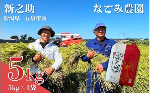 【ふるさと納税】【令和7年産米】 なごみ農園の新之助 5kg or 10kg 選べる容量 | 新潟県 五泉市 なごみ農園