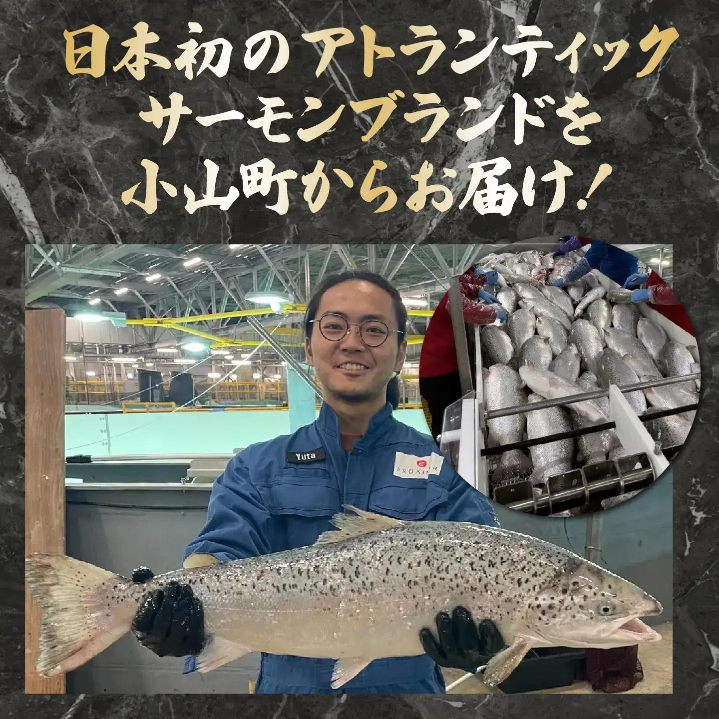 西京漬け 8P 国産サーモン西京漬け