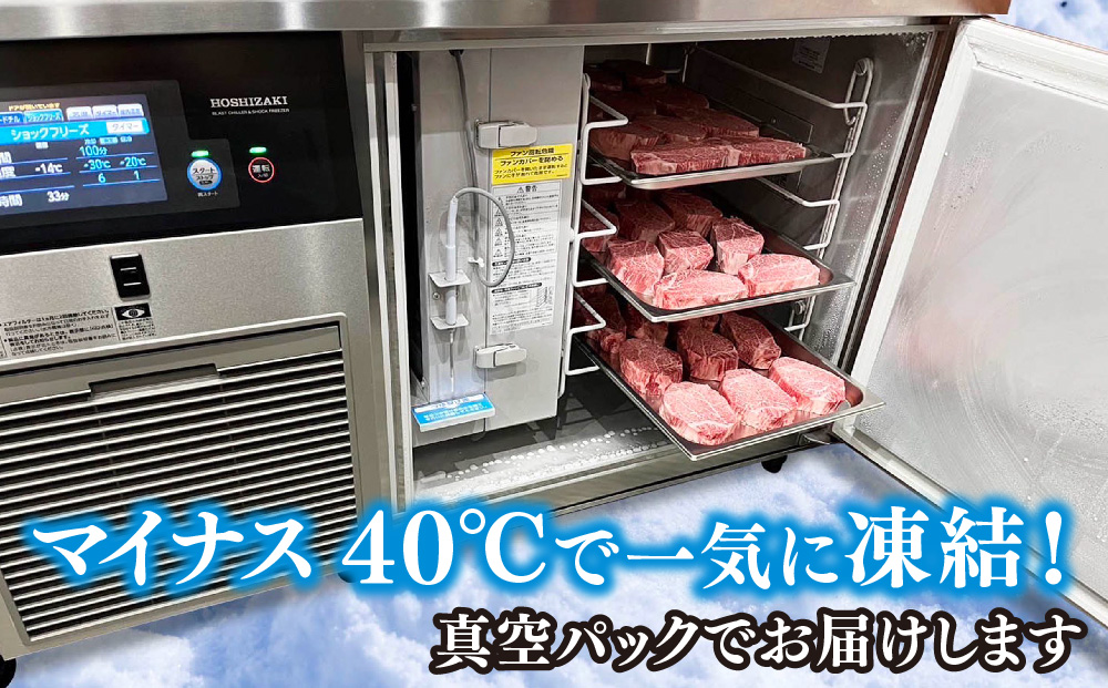 佐賀牛シャトーブリアン(200g×2枚)【佐賀牛 ブランド牛 国産牛 記念日 お祝い ご褒美 真空パック ふるさと納税】(H107108)