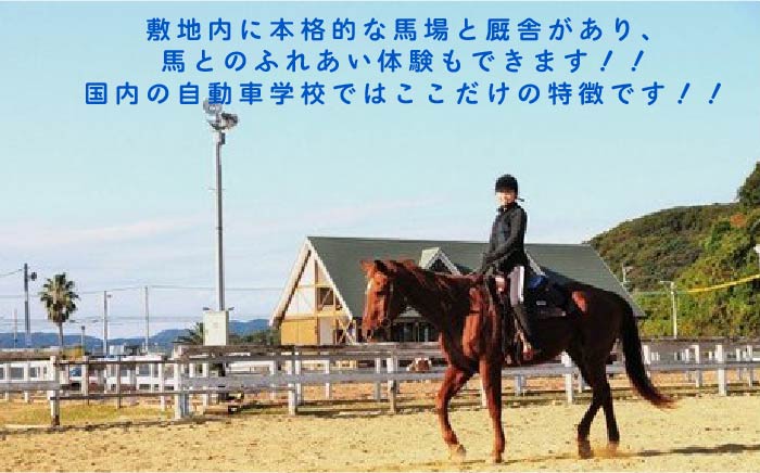 【五島で楽しく免許をとろう♪】免許取得以外の体験もできちゃう！ふるさと免許 普通車AT 閑散期Aコース 相部屋プラン 300P【五島（五島自動車学校）】[PBZ003]