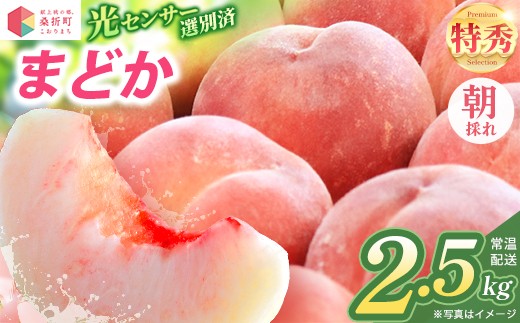 もも【まどか・2027年先行予約】特秀2.5kg（7～9玉）桑折町振興公社 ／ まどか 白桃 桃 もも モモ  フルーツ 2.5kg 大容量 特秀品 高品質 果汁たっぷり やわらかい 甘い果物 家庭用 贈答用 夏フルーツ 季節限定 お取り寄せフルーツ 新鮮フルーツ 桑折 こおり こおりまち 福島県 特産品  献上桃の郷【07301-0183】