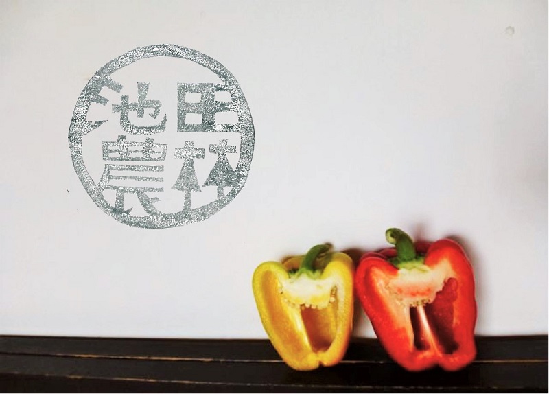 【先行予約】北海道栗山町産 土で育てた匠のパプリカ 12玉（池田農林）