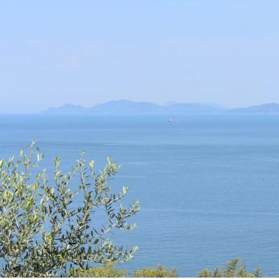 ふるさと納税 三豊市 【栽培期間中農薬不使用】プレミアムエキストラバージンオリーブオイル137g2本セット |  | 02